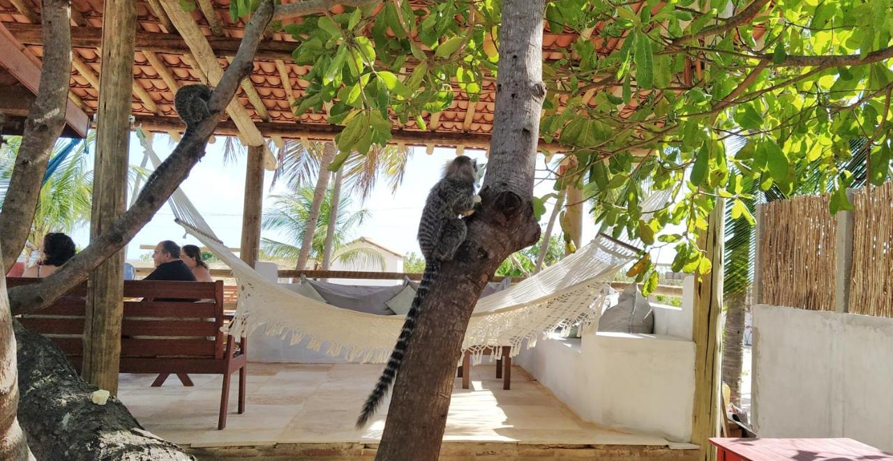 Villa Pitaya Icaraí Eksteriør bilde
